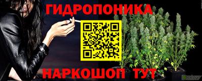 jwh Ирбит